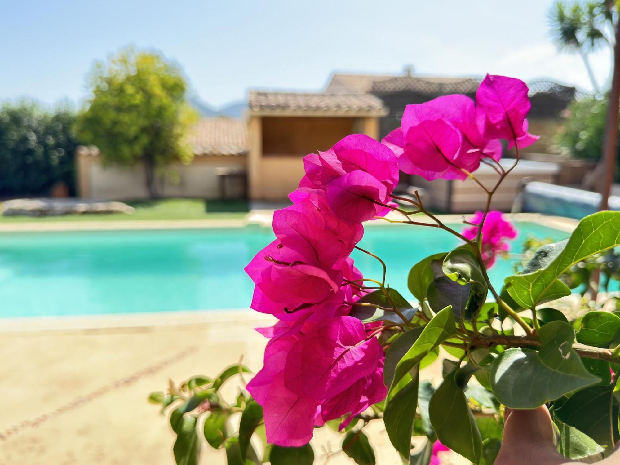 2 Hebergements - 10 Couchages - Parking, Piscine, Jacuzzi - Convivialite Roquebrune-sur-Argens Exterior photo