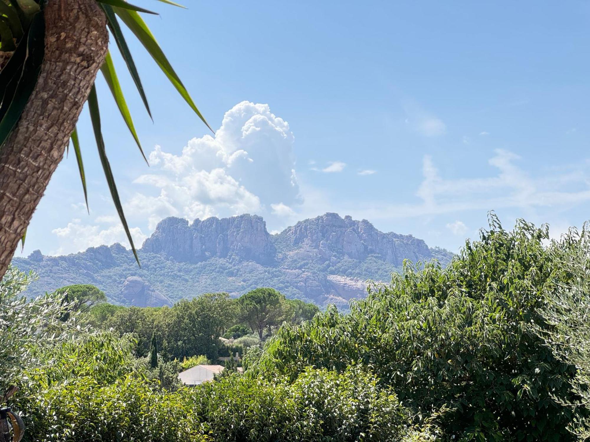 2 Hebergements - 10 Couchages - Parking, Piscine, Jacuzzi - Convivialite Roquebrune-sur-Argens Exterior photo